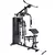 RANDERS MULTIGYM ARG63167 100KG - comprar online