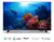 Google Tv Philips Fhd 43 43pfd6918/77