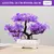 Bonsai Artificial Pequena Árvore, Plantas De Pote De Simulação, Flores Falsas - comprar online