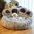 Cama para cães e gatos, sofá para animais de estimação, formato de pata de urso
