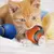Brinquedo Interativo Inteligente Cauda Rápida 2.0 – Bola Automática com Movimento por Toque para Gatos e Cães na internet