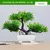 Bonsai Artificial Pequena Árvore, Plantas De Pote De Simulação, Flores Falsas