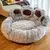 Cama para cães e gatos, sofá para animais de estimação, formato de pata de urso na internet