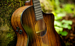 Banner de la categoría GUITARRAS ELECTROACUSTICAS