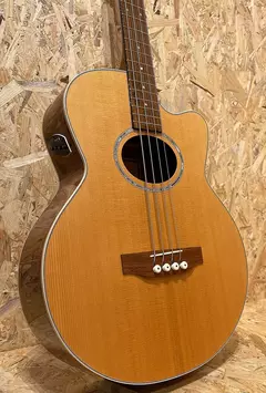 Banner de la categoría BAJOS ACUSTICOS Y ELECTROACUSTICOS