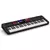 Casio Teclado Arranger Casiotone CT-S1000V de 61 teclas - Som&Music 