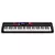 Casio Teclado Arranger Casiotone CT-S1000V de 61 teclas
