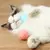 Imagem do Bola Inteligente Saltitante para Pets – Brinquedo Interativo USB para Cães e Gatos, com Movimento Automático