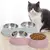 Tigela Dupla Inox para Gatos e Cães Pequenos – Comedouro e Bebedouro Antiderrapante | Base Ergonômica e Fácil de Limpar na internet