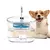 Fonte Bebedouro Automático com Filtro Silencioso 2,2L para Gatos e Cães - Inox & Transparente