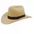 Chapéu Cowboy para Cães e Gatos – Acessório Ajustável para Sessões de Fotos e Passeios ao Ar Livre | Várias Cores - Aumor e Patas