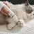 Kit 4 em 1 Tosa Profissional para Pets – Aparador de Pelos Elétrico Recarregável Baixo Ruído | Newpet - Aumor e Patas