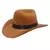 Chapéu Cowboy para Cães e Gatos – Acessório Ajustável para Sessões de Fotos e Passeios ao Ar Livre | Várias Cores na internet