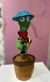 Cactus Bailarín - comprar online
