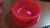 Comedouro de Acrilico - Pet Toys - comprar online