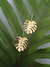Aretes Selva - comprar en línea