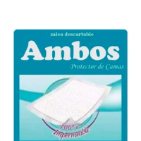 Marca 11 de Pasos y Pasitos