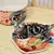 Cama CupNoodles para Gatos - loja online