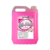 Produto de Limpeza Desinfetante Uso Geral Ali Plus