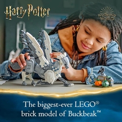 Lego 76427 Harry Potter Bicuço 723 Peças - comprar online