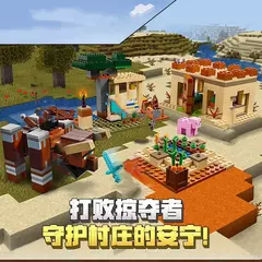 LEGO Minecraft 21160 O Ataque de Illager 562 peças na internet