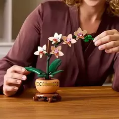 LEGO 10343 Botanicals Mini Orquídea - comprar online