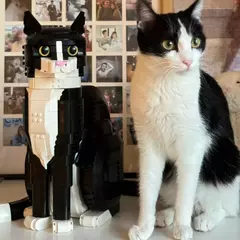 Lego Ideas Gato Cat Tuxedo 2024 32 Cm Blocos De Montar - comprar online