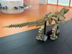 Jurassic World 76968 - Fósseis de dinossauro: Tiranossauro Rex 3145 peças - loja online
