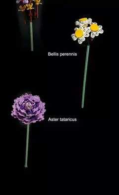 Imagem do LEGO 10280 Buquê de Flores