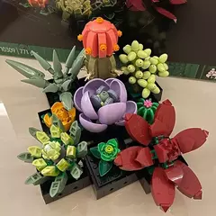 771 peças de blocos de construção para plantas suculentas