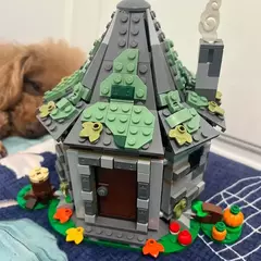 LEGO 76428 Harry Potter Cabana do Hagrid Uma Visita Inesperada - Bloco Mundo