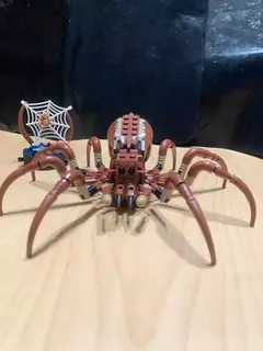 LEGO 76434 Harry Potter Aragogue na Floresta Proibida 95 peças