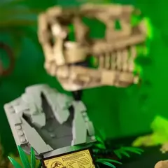 LEGO Set Jurassic World 76964 Fósseis de Dinossauros T-Rex Caveira - comprar online