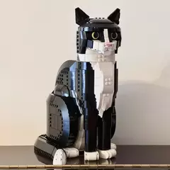 Lego Ideas Gato Cat Tuxedo 2024 32 Cm Blocos De Montar