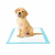 Tapete Higiênico Mr Dry - Via Pet Cachoeiras