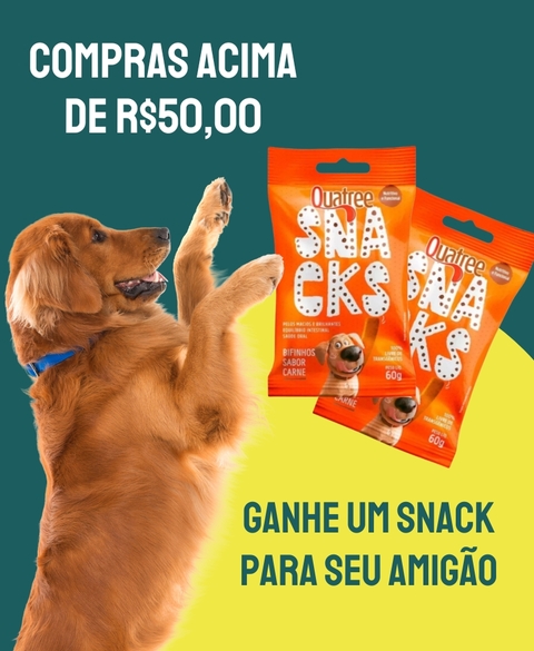 Carrossel 1