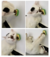 Brinquedo Interativo De Gato Bola Catnip Abacate Com Adesivo - comprar online