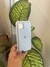 Funda de Silicona iPhone 11 Pro Max Celeste - comprar online