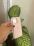 Funda de Silicona iPhone 13 Pro Rosa - comprar online