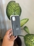 Funda de Silicona iPhone 14 Gris Oscuro - comprar online
