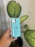 Funda de Silicona iPhone 14 Turquesa - comprar online