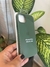 Funda de Silicona iPhone 14 Plus Verde - comprar online