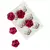 Forma de Silicone 06 Rosas