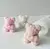 Forma de Silicone Ursinho com Rosas na internet