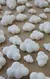 Forma de Silicone 36 Nuvens na internet