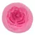 Forma de Silicone Rosas na internet