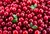 Essência CRAMBERRY - comprar online