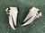 NIKE MERCURIAL SUPERFLY ELITE