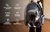 Mochila Transportadora de Mascotas Gadnic Capsula Acrilico 360 en internet