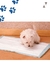 Tapete Higiênico Good Pad 60x60 com 30Un